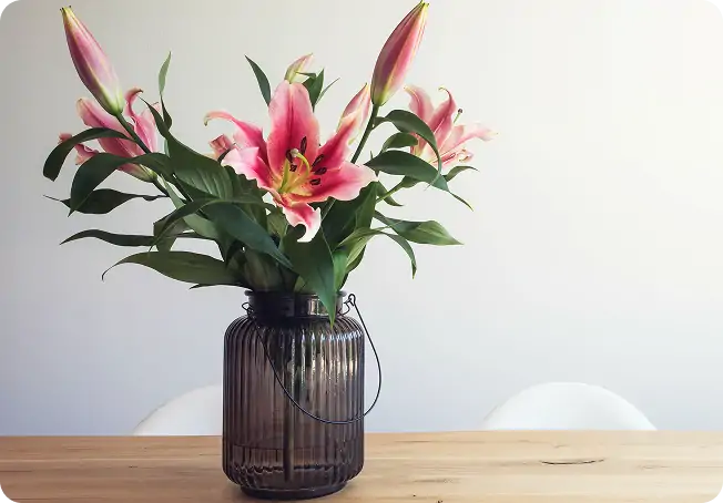 花瓶にいけられた花